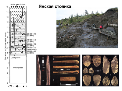 Исследования Янской стоянки
